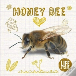 Capa do artigo Honey Bee