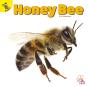 Honey Bee - Preview