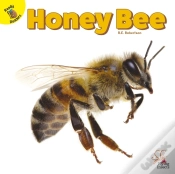 Capa do artigo Honey Bee