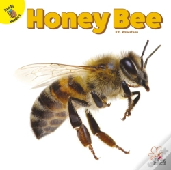 Capa do artigo Honey Bee