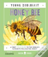 Honey Bee (Young Zoologist)