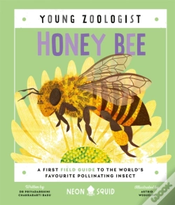 Capa do artigo Honey Bee (Young Zoologist)