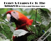 Honey &Amp; Grapes Go To The Amazon