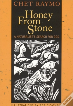 Capa do artigo Honey From Stone