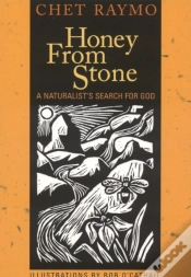 Capa do artigo Honey From Stone