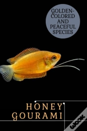 Capa do artigo Honey Gourami