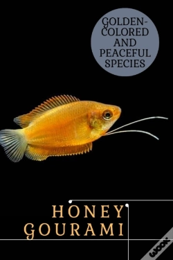 Capa do artigo Honey Gourami