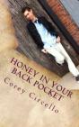 Honey In Your Back Pocket: Short Stories - Preview