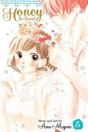 Honey So Sweet, Vol. 5 - Preview