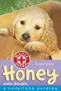 Honey - Preview