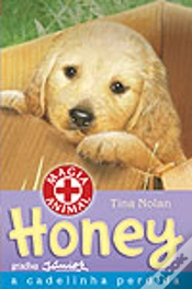 Capa do artigo Honey