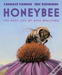 Honeybee