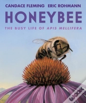 Capa do artigo Honeybee