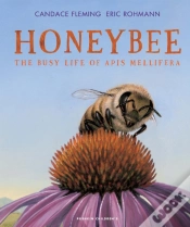 Capa do artigo Honeybee