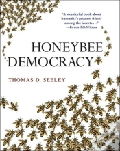 Capa do artigo Honeybee Democracy