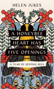 Capa do artigo Honeybee Heart Has Five Openings