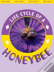 Capa do artigo Honeybee