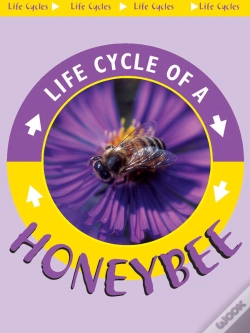 Capa do artigo Honeybee