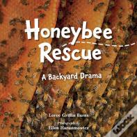 Honeybee Rescue