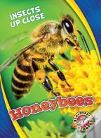 Honeybees