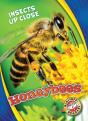 Honeybees - Preview