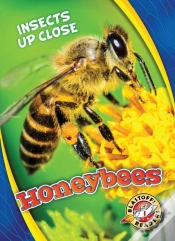Capa do artigo Honeybees