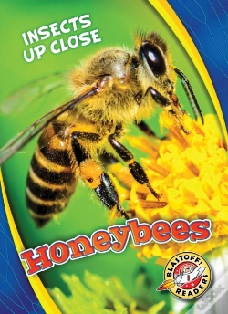 Capa do artigo Honeybees
