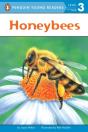 Honeybees - Preview