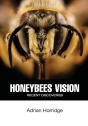 Honeybees Vision: Recent Discoveries - Preview