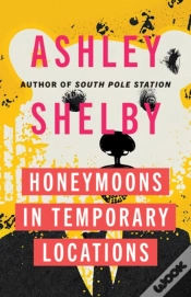Capa do artigo Honeymoons In Temporary Locations