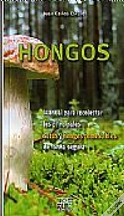 Capa do artigo Hongos