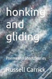 Capa do artigo Honking And Gliding