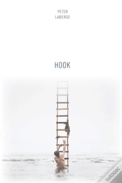 Capa do artigo Hook