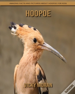 Capa do artigo Hoopoe