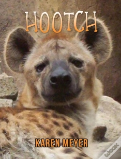 Capa do artigo Hootch