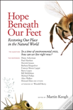Capa do artigo Hope Beneath Our Feet
