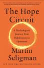 Hope Circuit - Preview