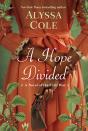 Hope Divided - Preview