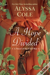 Capa do artigo Hope Divided