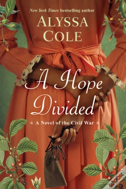 Capa do artigo Hope Divided