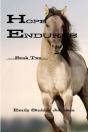 Hope Endures - Preview