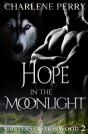 Hope In The Moonlight - Preview