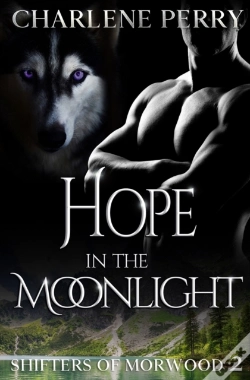 Capa do artigo Hope In The Moonlight