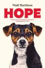 Hope - Preview