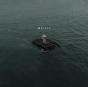 HOPE - Vinil - Preview