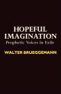 Hopeful Imagination - Preview