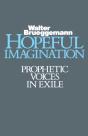 Hopeful Imagination - Preview