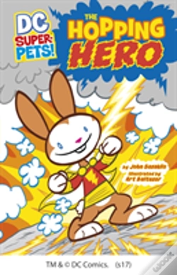 Capa do artigo Hopping Hero