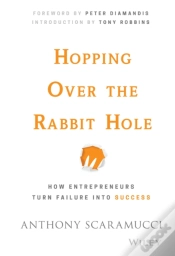 Capa do artigo Hopping Over The Rabbit Hole