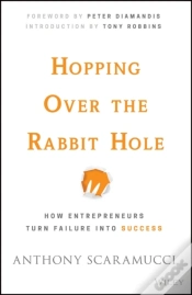 Capa do artigo Hopping Over The Rabbit Hole